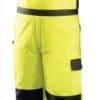 Occunomix High Visibility Winter Bib Pants